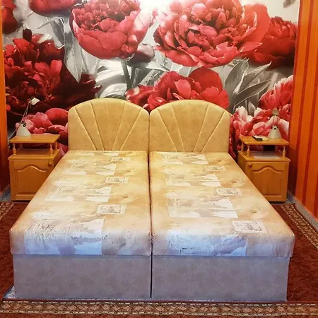 Summer House Guest house 3*