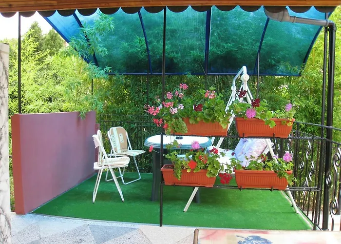 Summer House Guest house 3*