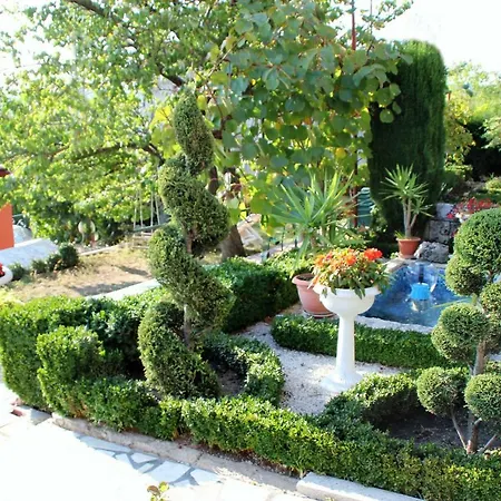 Guest house Summer House 3*