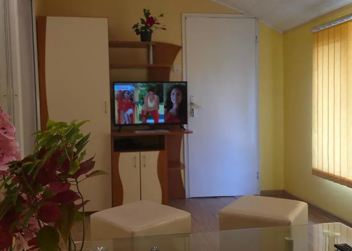 Summer House Гостевой дом 3*